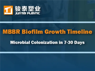 Временска линија раста МББР биофилма: Колонизација микроба за 7-30 дана