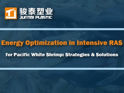 Оптимизација енергије у интензивном РАС за пацифичке беле шкампе: стратегије ...